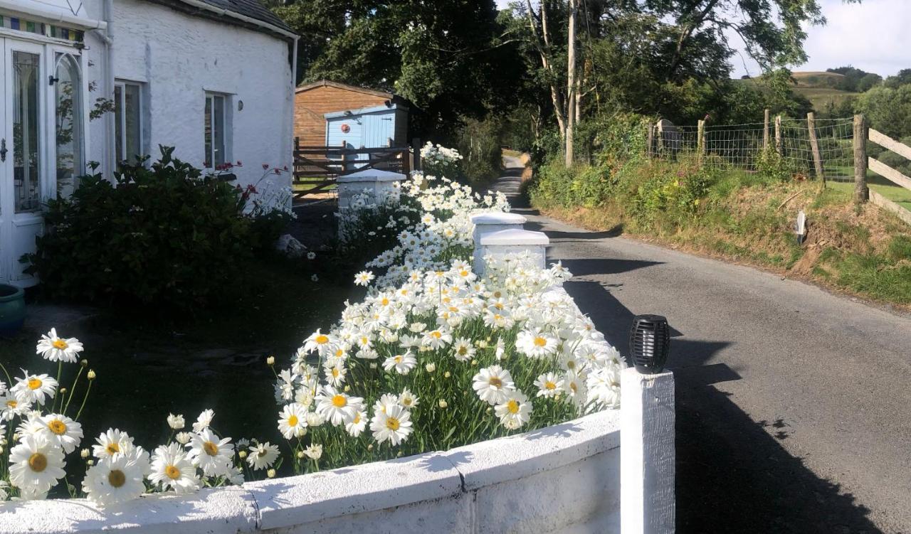 Lake View Romantic Retreat Aberystwyth Dış mekan fotoğraf