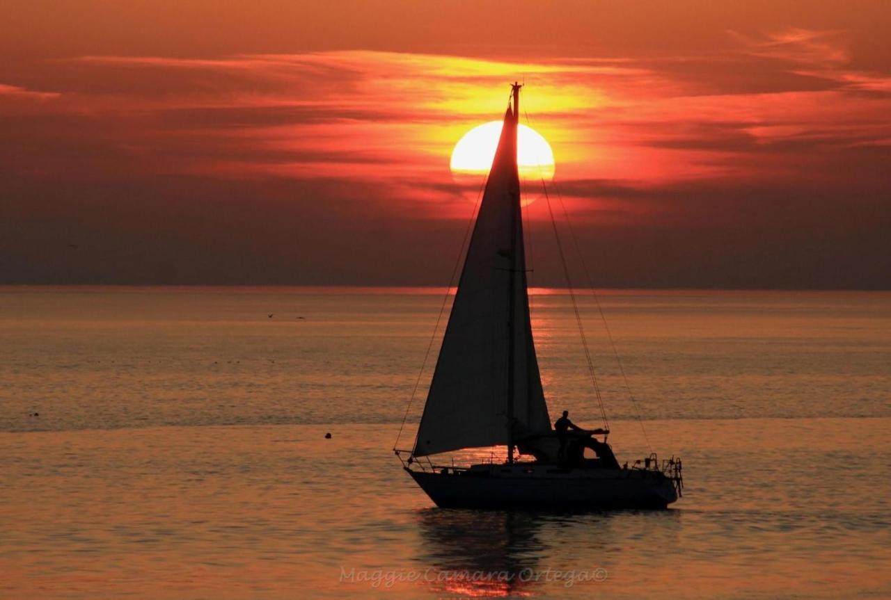 Lake View Romantic Retreat Aberystwyth Dış mekan fotoğraf